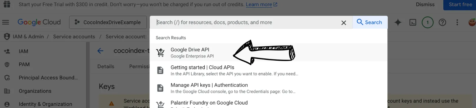 Enable Google Drive API