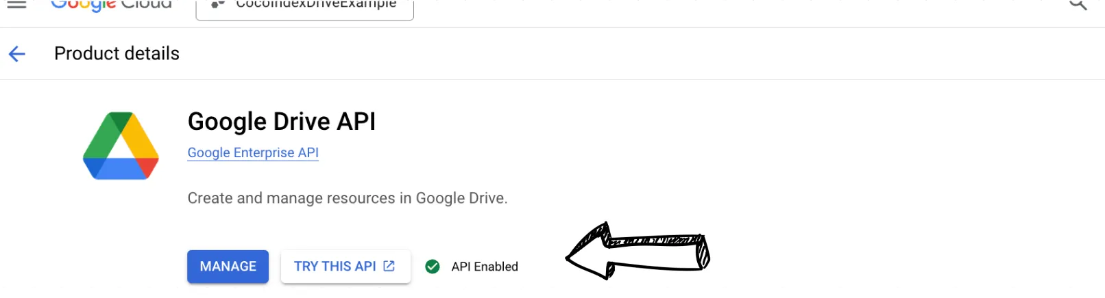 Google Drive API Enabled
