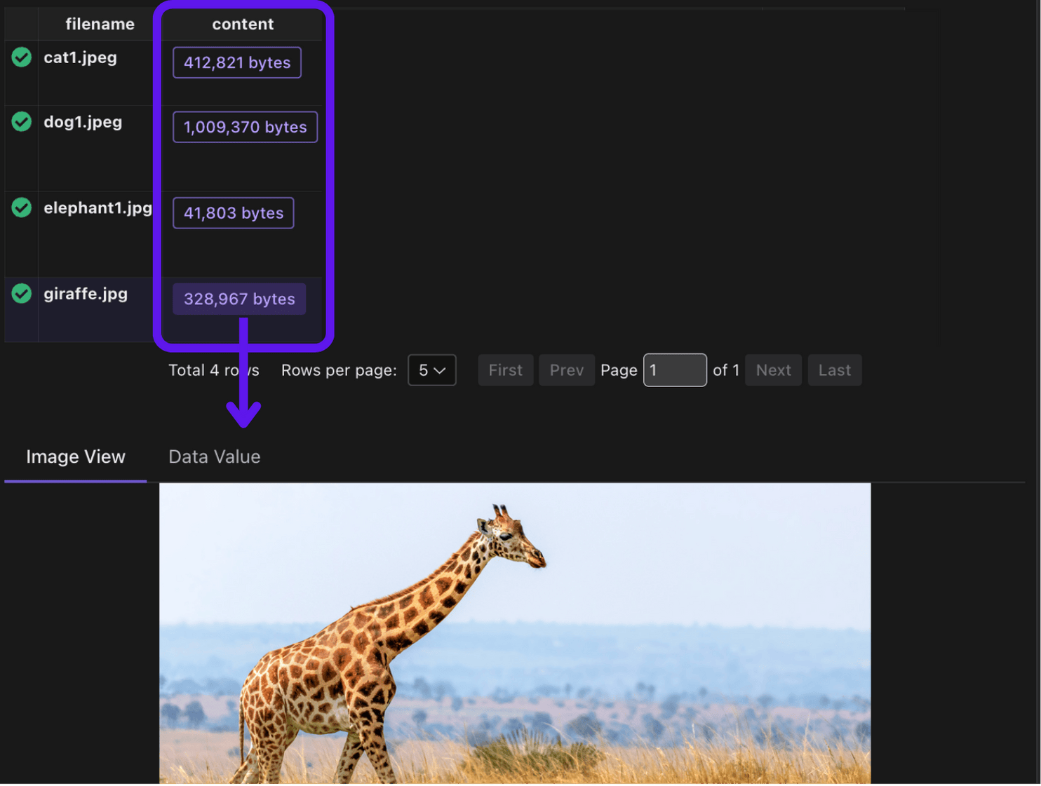 Ingest Images